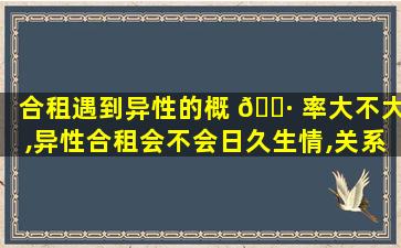 合租遇到异性的概 🌷 率大不大,异性合租会不会日久生情,关系升华